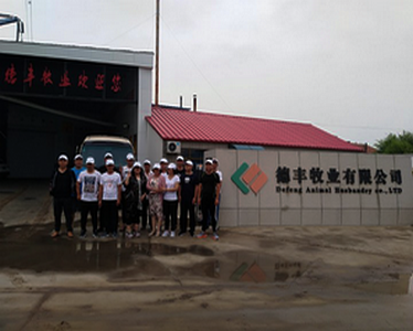 德豐牧業(yè)全體員工向全國(guó)人民問(wèn)好！